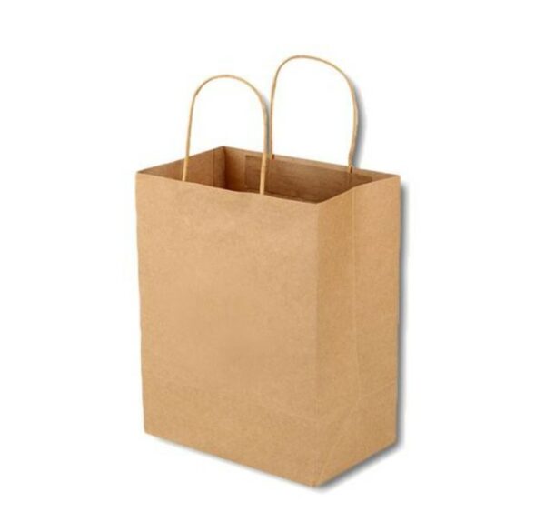 Paper Small Carry Bags